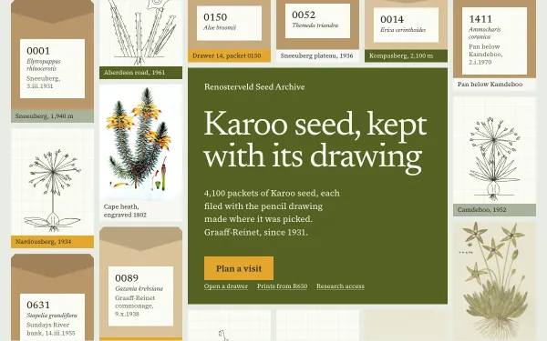 Renosterveld — Seed & Drawing Archive preview